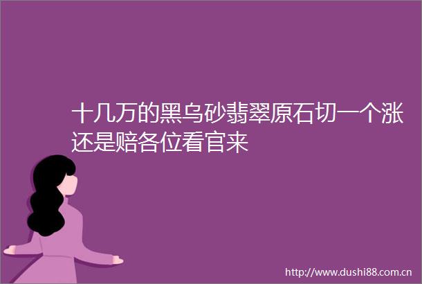 十几万的黑乌砂翡翠原石切一个涨还是赔各位看官来