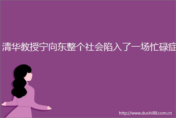 清华教授宁向东整个社会陷入了一场忙碌症