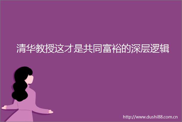 清华教授这才是共同富裕的深层逻辑