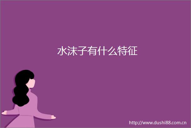 水沫子有什么特征