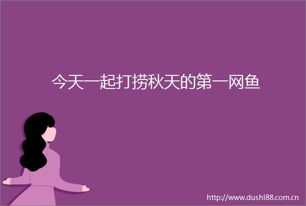 今天一起打捞秋天的第一网鱼