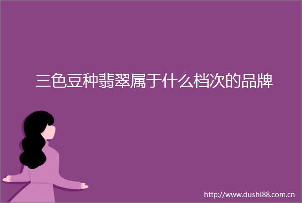三色豆种翡翠属于什么档次的品牌