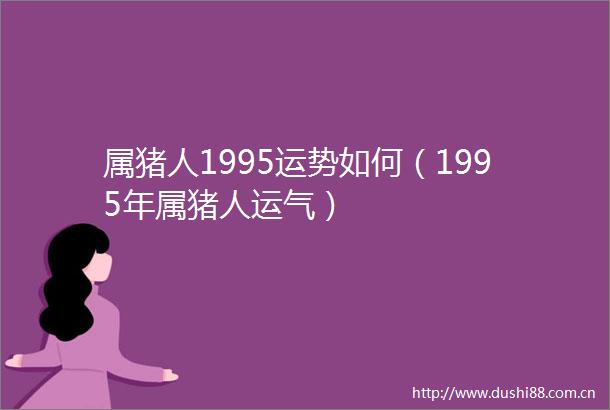属猪人1995运势如何（1995年属猪人运气）
