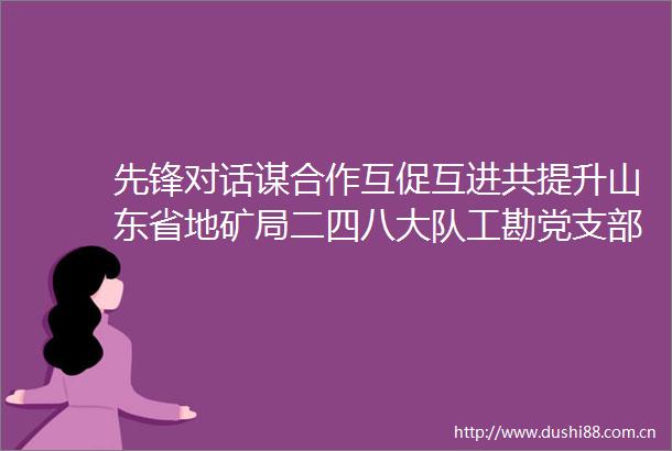 先锋对话谋合作互促互进共提升山东省地矿局二四八大队工勘党支部开展新时代英雄地质队先锋对话会党支部共建活动