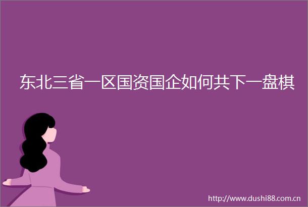 东北三省一区国资国企如何共下一盘棋