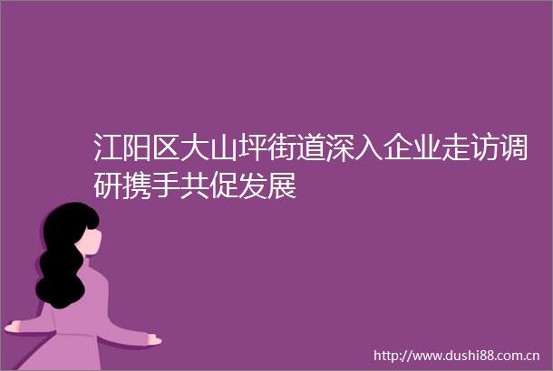 江阳区大山坪街道深入企业走访调研携手共促发展