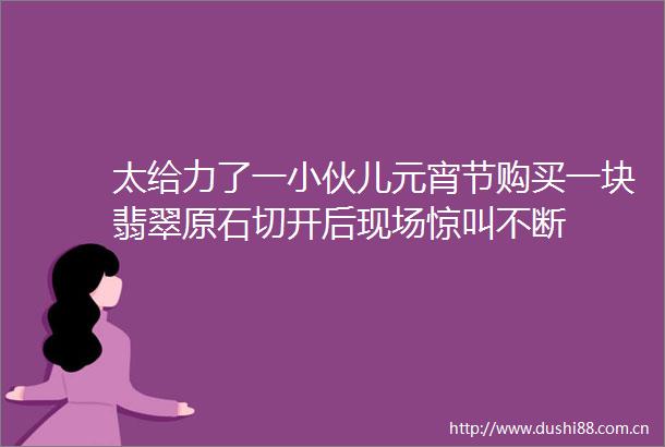 太给力了一小伙儿元宵节购买一块翡翠原石切开后现场惊叫不断
