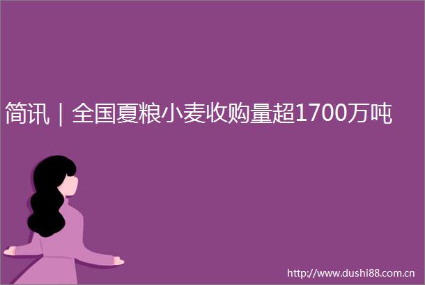 简讯｜全国夏粮小麦收购量超1700万吨