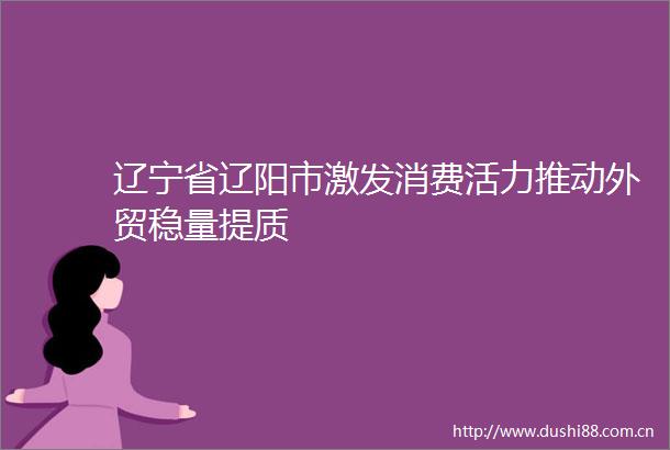 辽宁省辽阳市激发消费活力推动外贸稳量提质