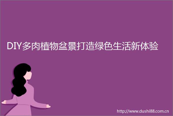 DIY多肉植物盆景打造绿色生活新体验