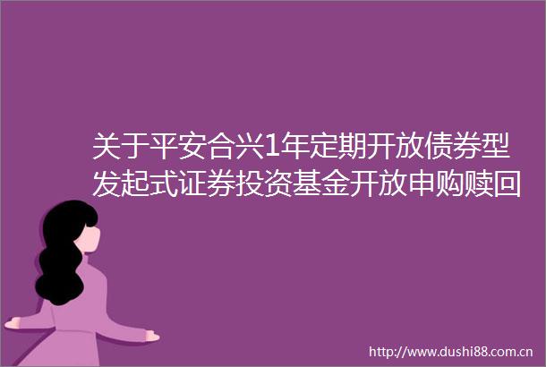 关于平安合兴1年定期开放债券型发起式证券投资基金开放申购赎回及转换业务的公告