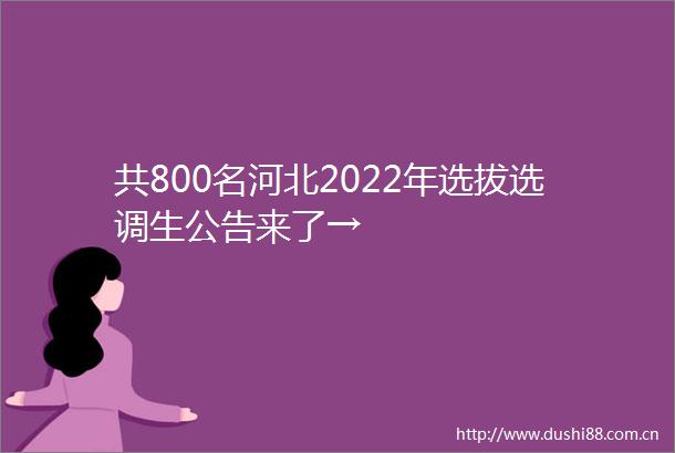 共800名河北2022年选拔选调生公告来了→