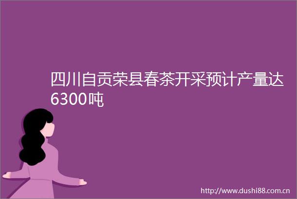 四川自贡荣县春茶开采预计产量达6300吨