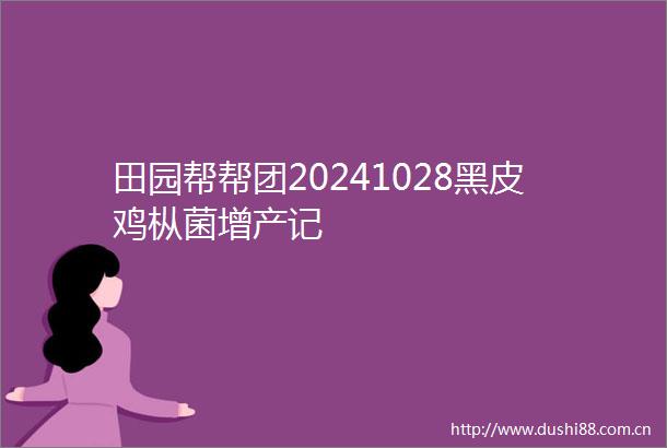 田园帮帮团20241028黑皮鸡枞菌增产记