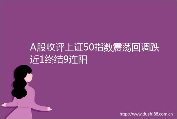 A股收评上证50指数震荡回调跌近1终结9连阳