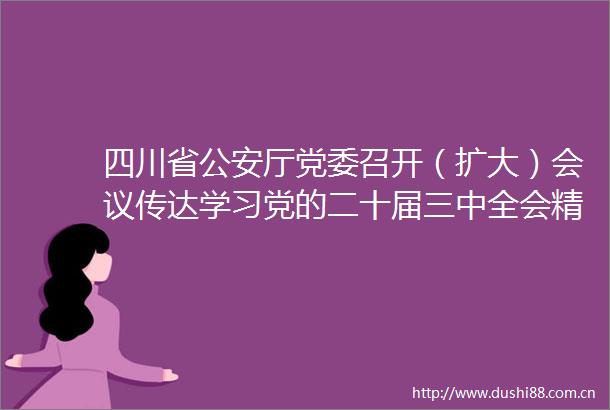 四川省厅党委召开（扩大）会议传达学习党的二十届三中全会精神