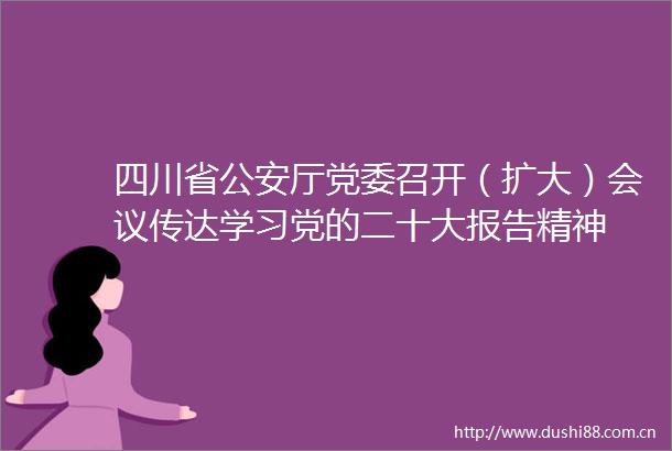 四川省厅党委召开（扩大）会议传达学习党的二十大报告精神