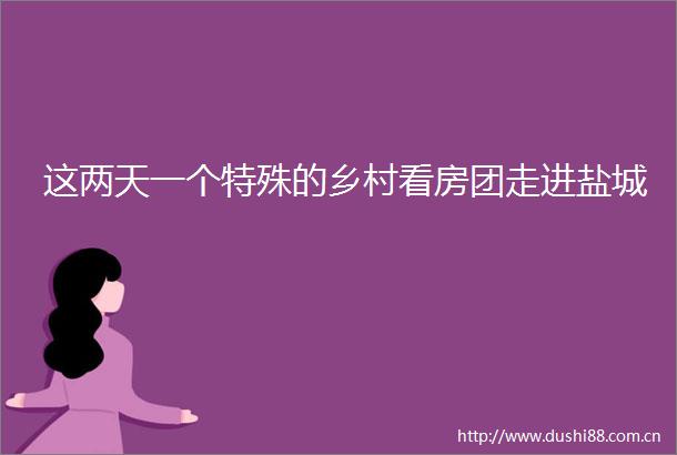 这两天一个特殊的乡村看房团走进盐城