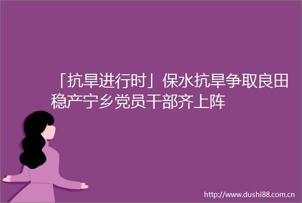 「抗旱进行时」保水抗旱争取良田稳产宁乡党员齐上阵