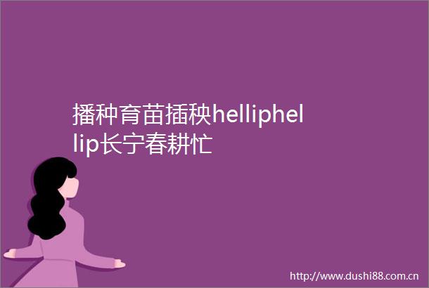播种育苗插秧helliphellip长宁春耕忙