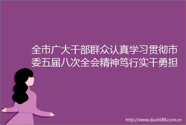 全市广大群众认真学习贯彻市委五届八次全会精神笃行实干勇担当奋勇争先善作为