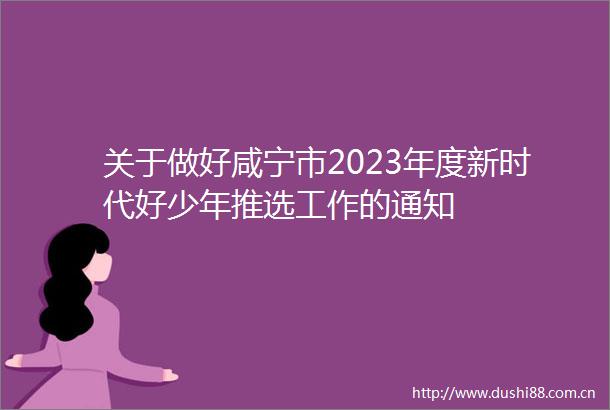 关于做好咸宁市2023年度新时代好少年推选工作的通知