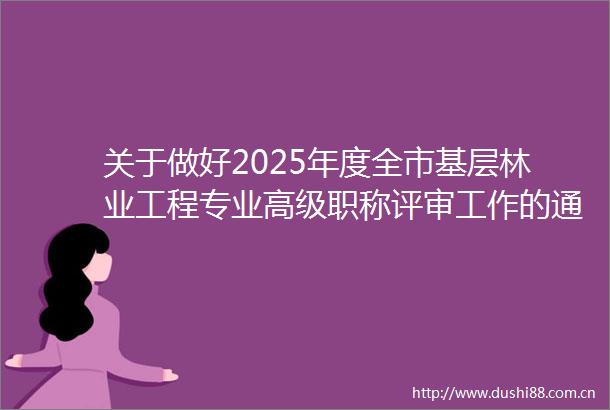 关于做好2025年度全市基层林业工程专业高级职称评审工作的通知