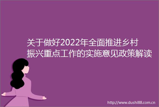 关于做好2022年全面推进乡村振兴重点工作的实施意见政策解读