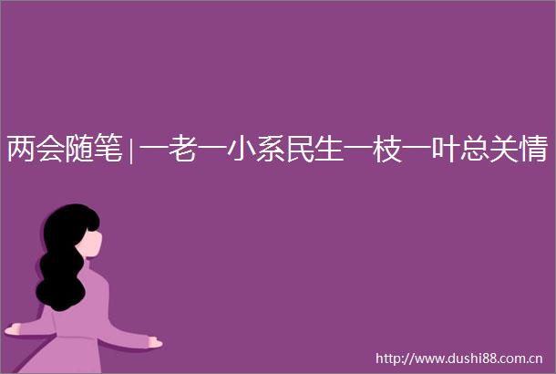 两会随笔∣一老一小系民生一枝一叶总关情