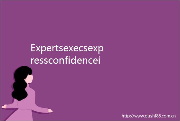 ExpertsexecsexpressconfidenceinChineseeconomy