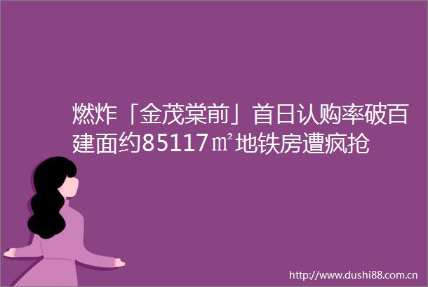 燃炸「金茂棠前」首日认购率破百建面约85117㎡地铁房遭疯抢