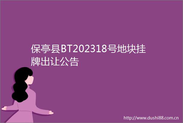 保亭县BT202318号地块挂牌出让公告