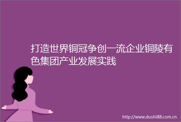 打造世界铜冠争创一流企业铜陵有色集团产业发展实践