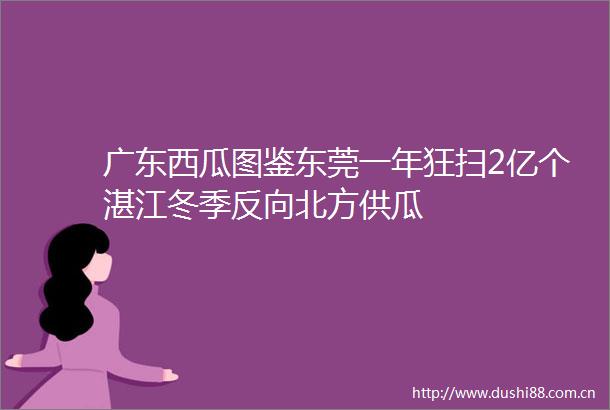 广东西瓜图鉴东莞一年狂扫2亿个湛江冬季反向北方供瓜
