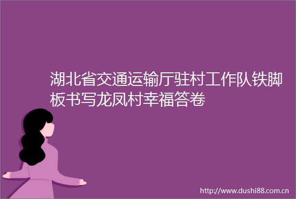 湖北省交通运输厅驻村工作队铁脚板书写龙凤村幸福答卷