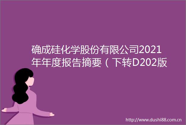 确成硅化学股份有限公司2021年年度报告摘要（下转D202版）