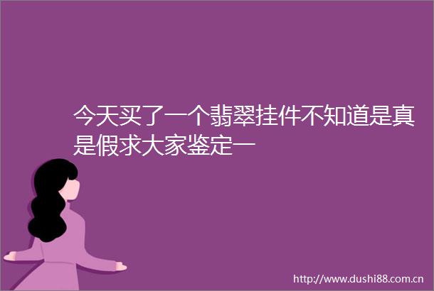 今天买了一个翡翠挂件不知道是真是假求大家鉴定一
