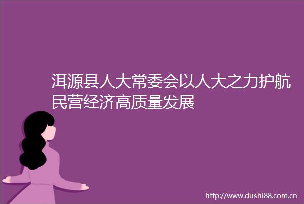 洱源县人大常委会以人大之力护航民营经济高质量发展