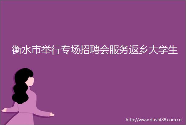 衡水市举行专场招聘会服务返乡大学生