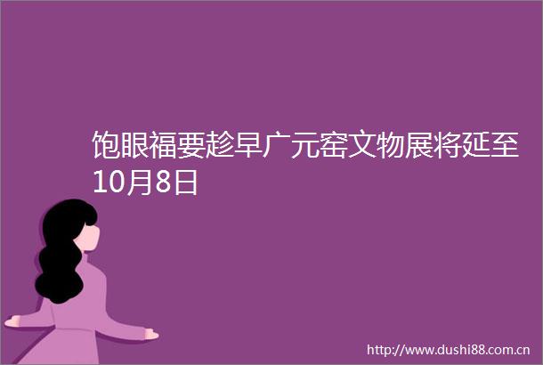 饱眼福要趁早广元窑文物展将延至10月8日