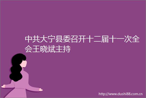 大宁县委召开十二届十一次全会王晓斌主持