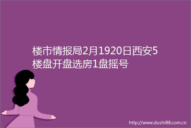 楼市情报局2月1920日西安5楼盘开盘选房1盘摇号