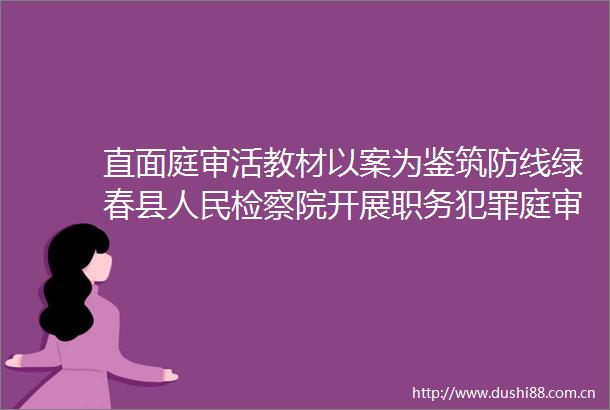 直面庭审活教材以案为鉴筑防线绿春县检察院开展职务庭审观摩活动