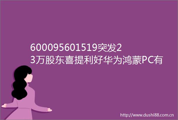 600095601519突发23万股东喜提利好华为鸿蒙PC有新消息