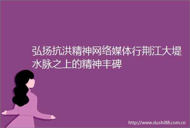 弘扬抗洪精神网络媒体行荆江大堤水脉之上的精神丰碑