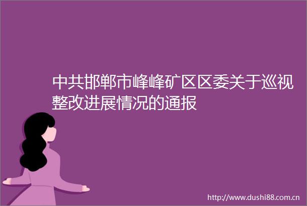 邯郸市峰峰矿区区委关于巡视整改进展情况的通报