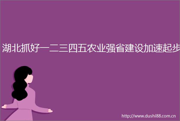 湖北抓好一二三四五农业强省建设加速起步