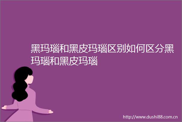 黑玛瑙和黑皮玛瑙区别如何区分黑玛瑙和黑皮玛瑙