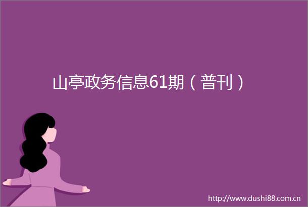 山亭政务信息61期（普刊）