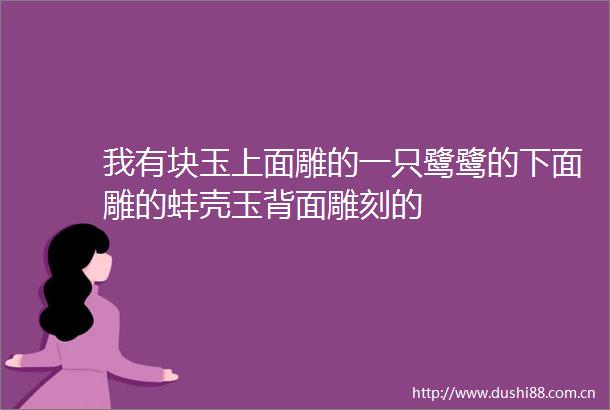 我有块玉上面雕的一只鹭鹭的下面雕的蚌壳玉背面雕刻的